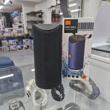 Parlante Portable 113