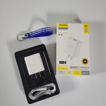 Cargador Conexión V8